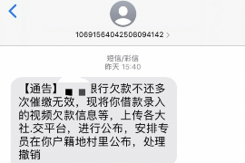 威县威县讨债公司服务